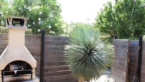 Un espace patio agrémenté d’un barbecue en pierre, d’une clôture en bois et d’un yucca.