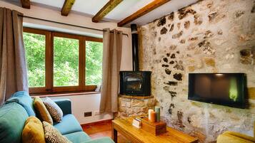 TV, fireplace, DVD player, books