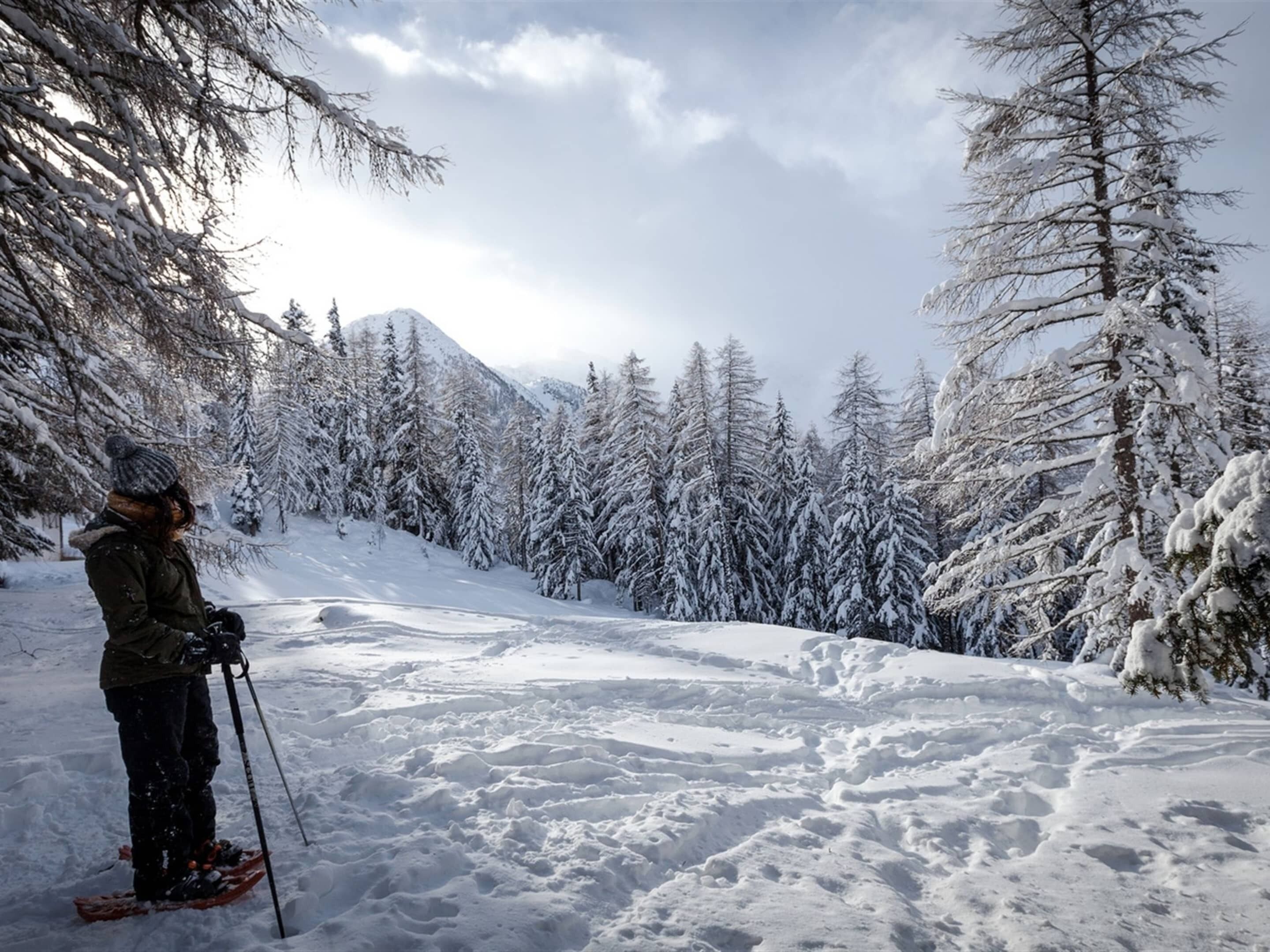 A snowy landscape with a person skiing.