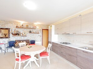Private kitchen - Modern Holiday Home in Mandre With Barbeque (Zmijavci)