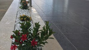 Un camino empedrado con un parterre de flores y un edificio al fondo.
