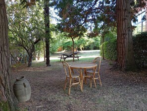 Un espace extérieur aménagé avec une table ronde et des chaises, entouré d’arbres et avec une table de pique-nique en arrière-plan.