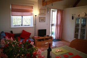 Smart TV, DVD player, books