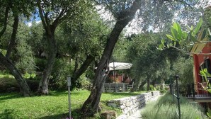 A garden with a stone pathway, trees, and a building with an umbrella in the background. - Maiso house nestled between the sea and olive trees (Lavagna)