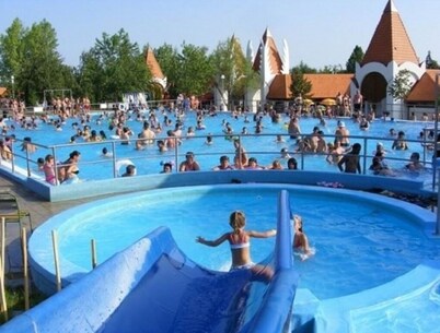 Agica Apartman- near the Thermal Water in Sarospatak