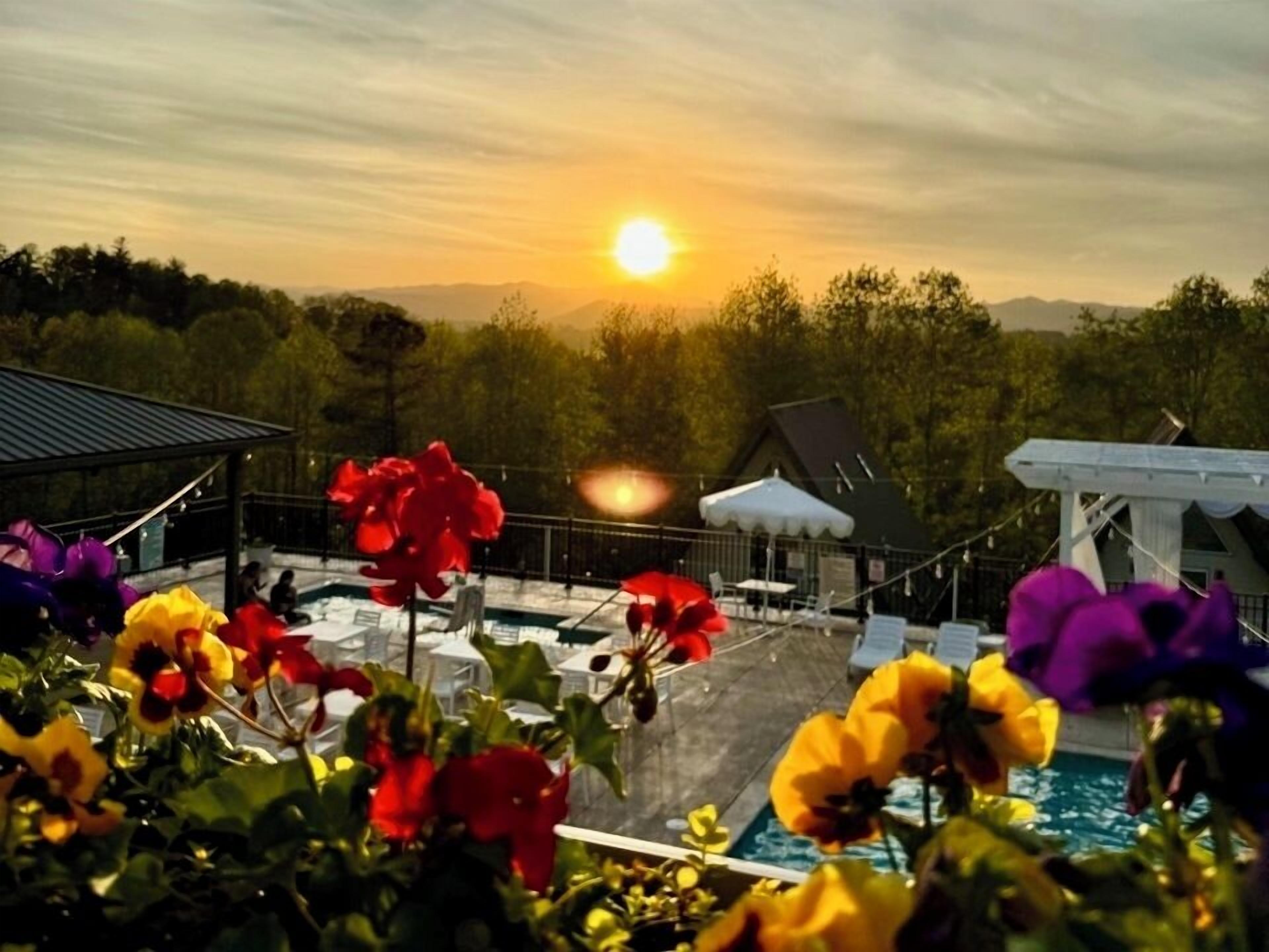 A pool area with a sunset in the background, surrounded by various flowers.