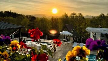 A pool area with a sunset in the background, surrounded by various flowers.