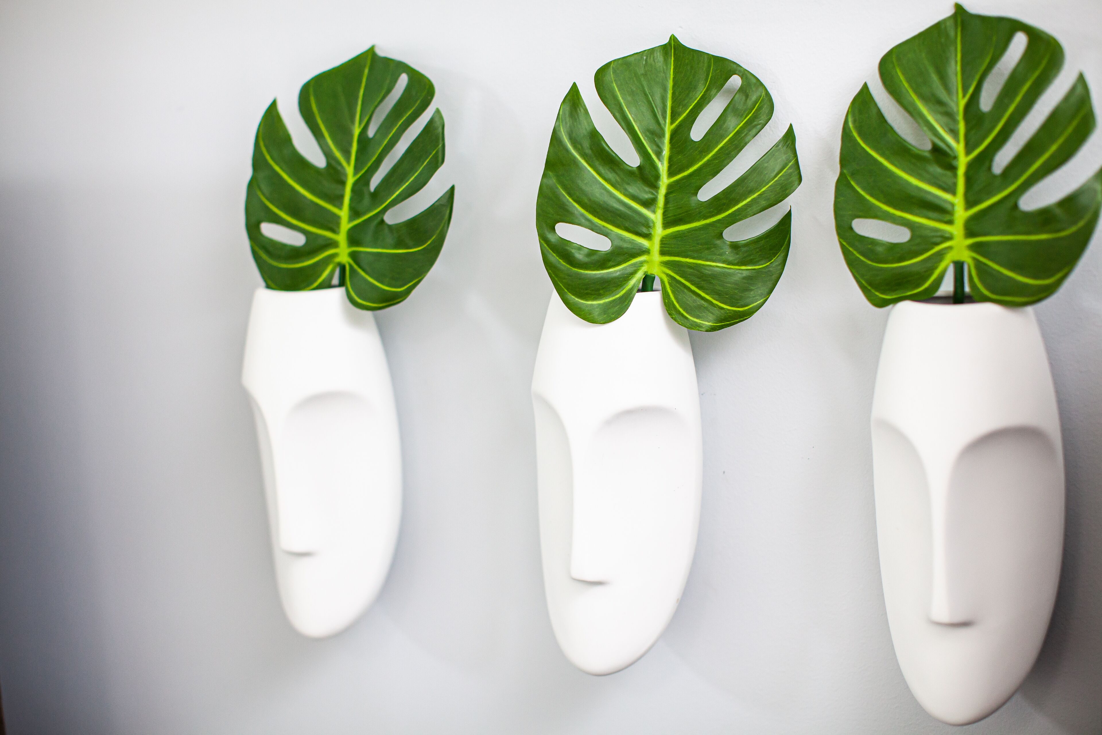 Tres jarrones blancos con hojas de monstera verde sobre fondo blanco.