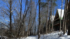 Un sendero cubierto de nieve que lleva a un edificio con techo verde, rodeado de árboles sin hojas.