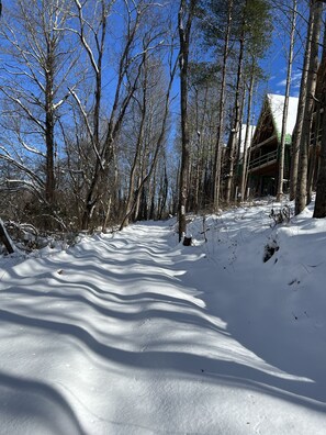 A snow-covered path leading to a building with a green roof, surrounded by leafless trees. - SKYLARANNA Resort & Spa (Hendersonville)