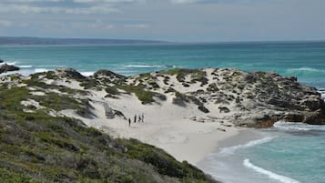 Una spiaggia nelle vicinanze, sabbia bianca