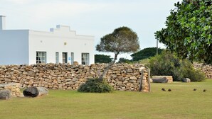 A modern building with a stone wall in front, a tree, and a grassy area with ostriches. - De Hoop Collection (Bredasdorp)