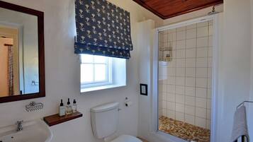A bathroom with a white toilet, a sink with a wooden shelf, a mirror, and a shower with a tiled floor.
