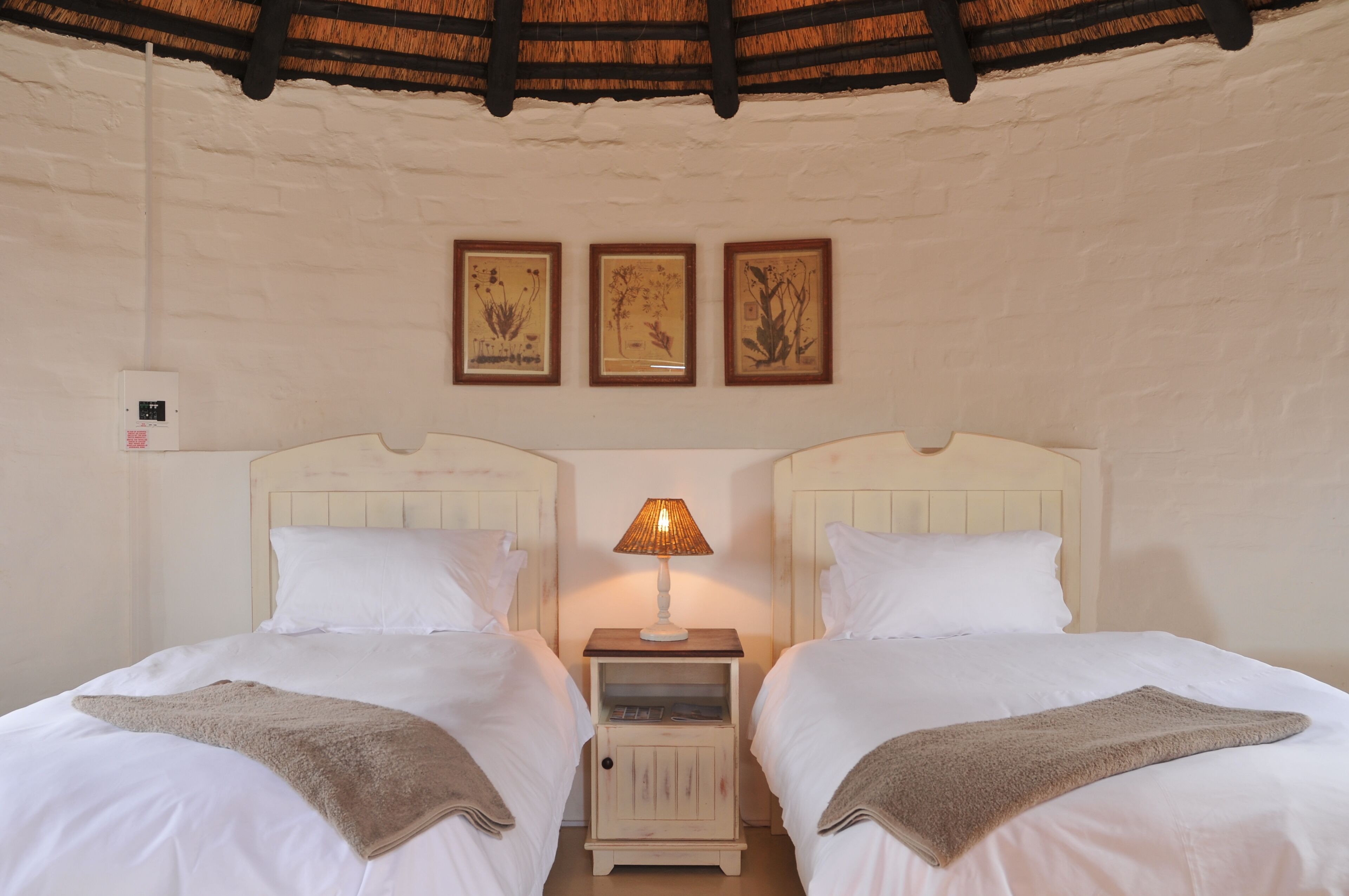 A double room with two beds, a nightstand with a lamp, and three framed botanical prints on the wall.