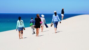 A group of people walking on a sandy beach with a clear blue sky and ocean in the background. - De Hoop Collection (Bredasdorp)