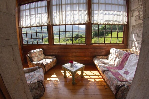 TV connectée, cheminée