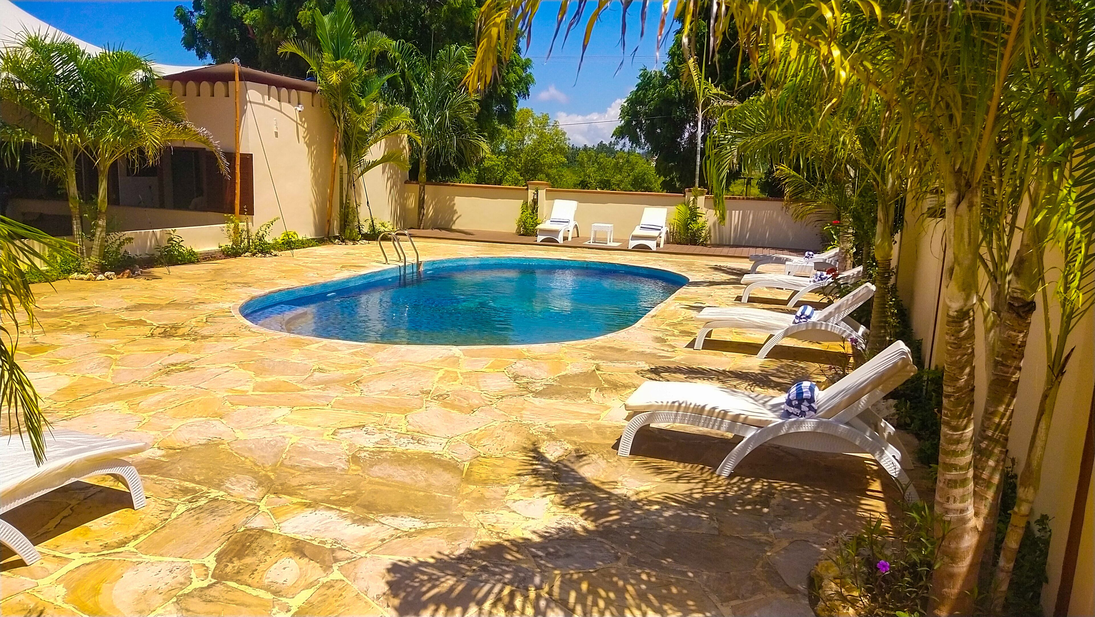 outdoor pool, pool loungers