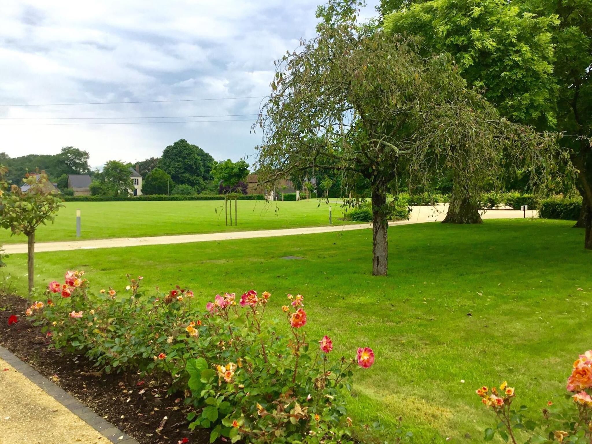 Un parque con césped, un sendero, árboles y un parterre con rosas.