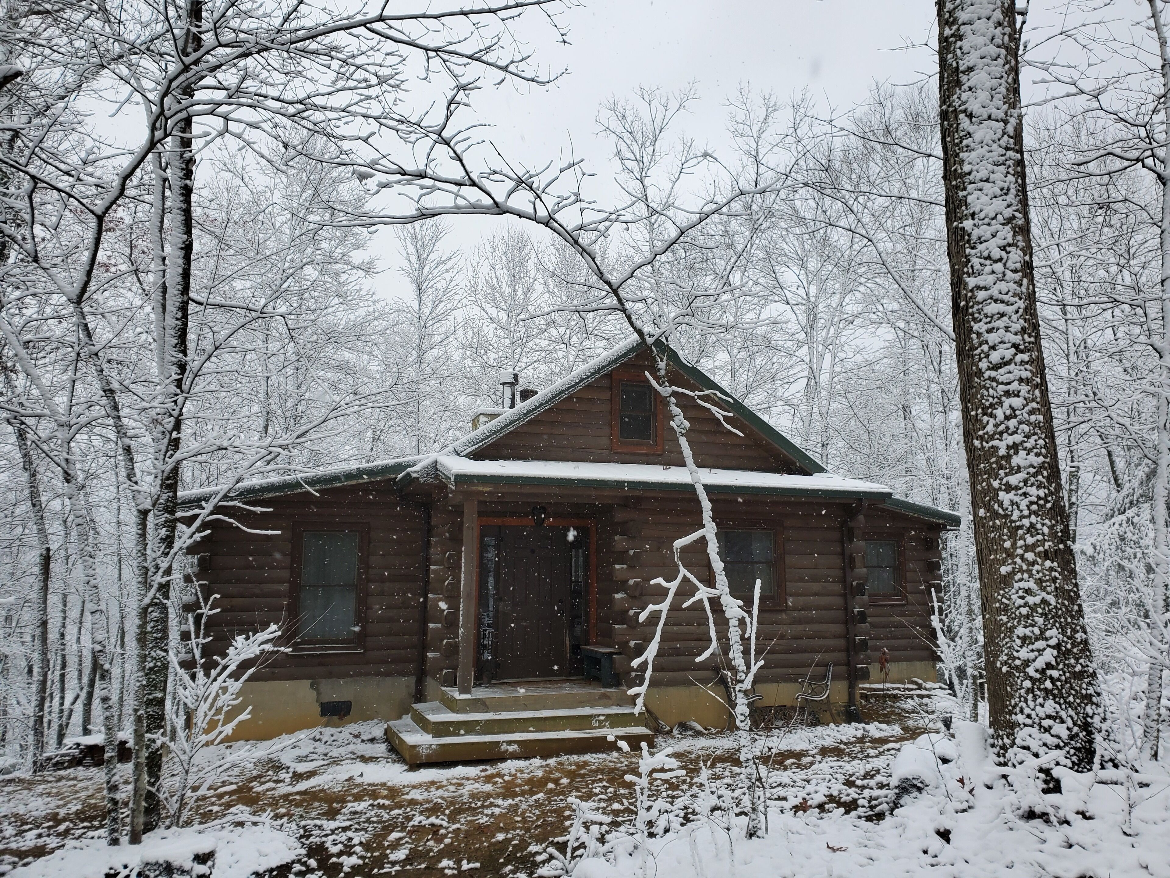 Una cabana de fusta envoltada d'arbres coberts de neu.
