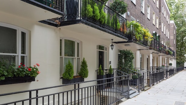 A row of townhouses with white facades, black railings, and small front gardens.
