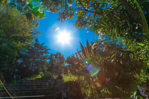 Overnattingsstedets uteområder