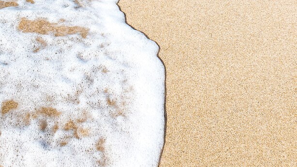 A beach with clear water, a sandy shore, and a distant line of trees. - Pousada Paraíso das Palmeiras (Paripueira)