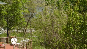 A deck with outdoor furniture, surrounded by lush greenery and trees. - Wonderful Quiet neighborhood retreat in the Village of Watkins Glen (Watkins Glen)