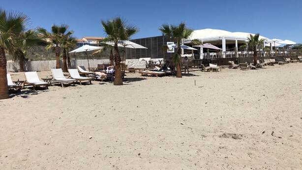 Una playa con tumbonas, palmeras y sombrillas.