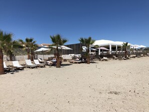 A beach with sun loungers, palm trees, and umbrellas.