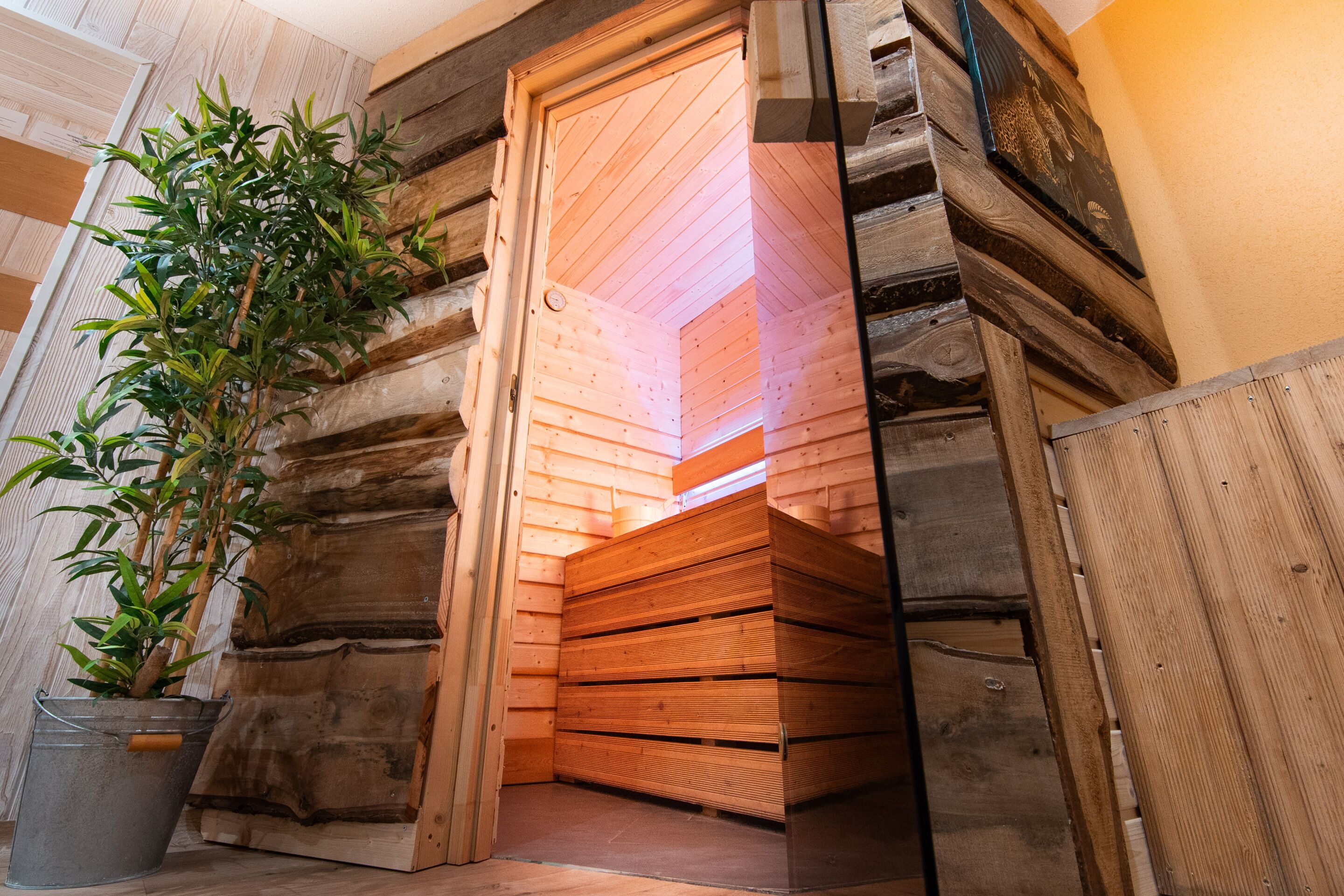 L’intérieur d’une cabane en rondins, avec un banc en bois, une plante en pot et une porte en bois.