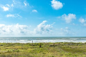 On the beach, sun loungers - Beach Candy - Beachfront Family-Friendly Home! (Freeport)