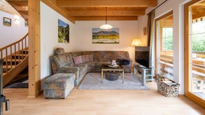 TV, fireplace, books