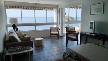 TV, DVD player, ping pong, books