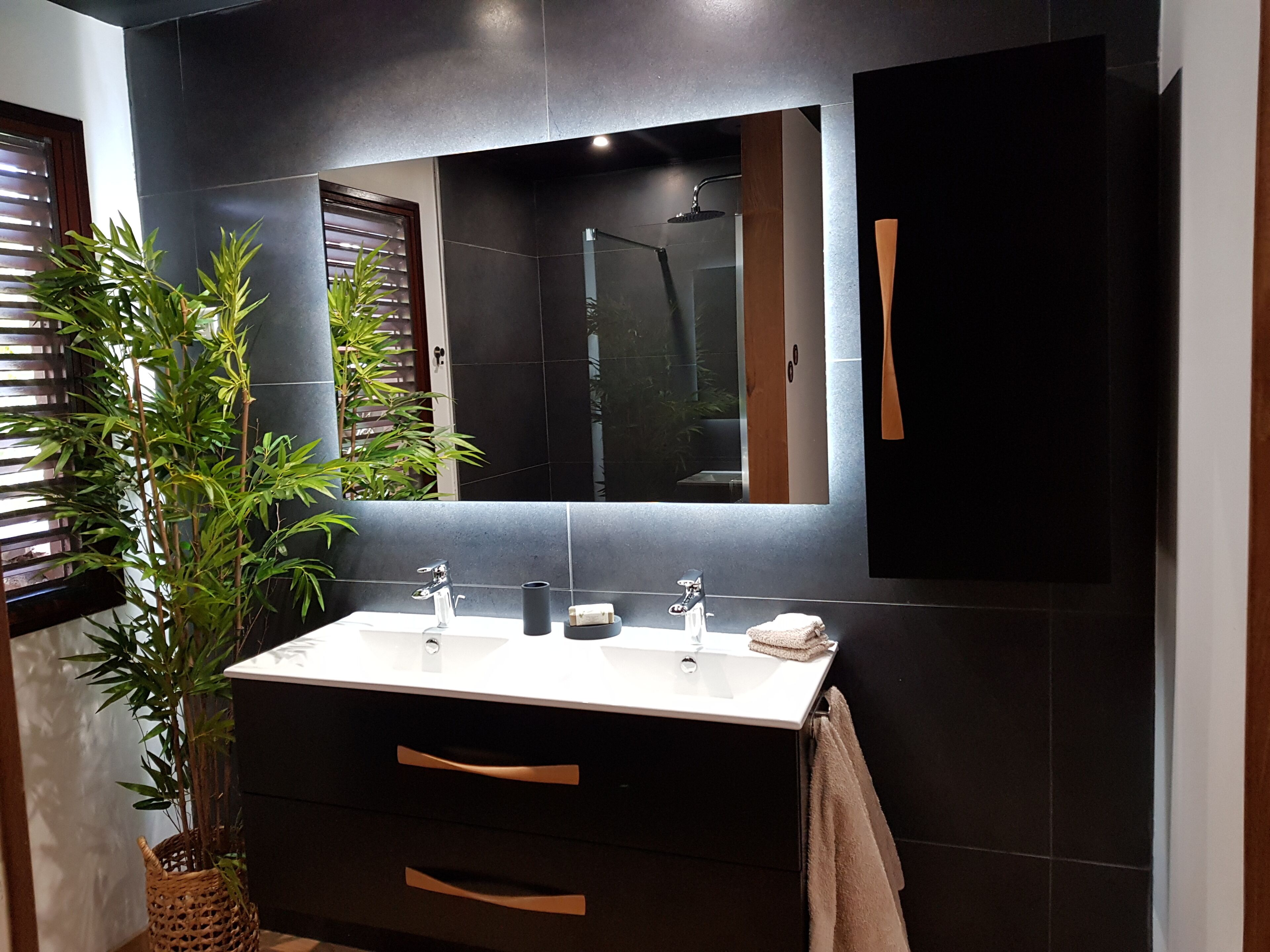 Une salle de bain moderne avec un grand miroir, deux lavabos, une douche et une plante en pot.