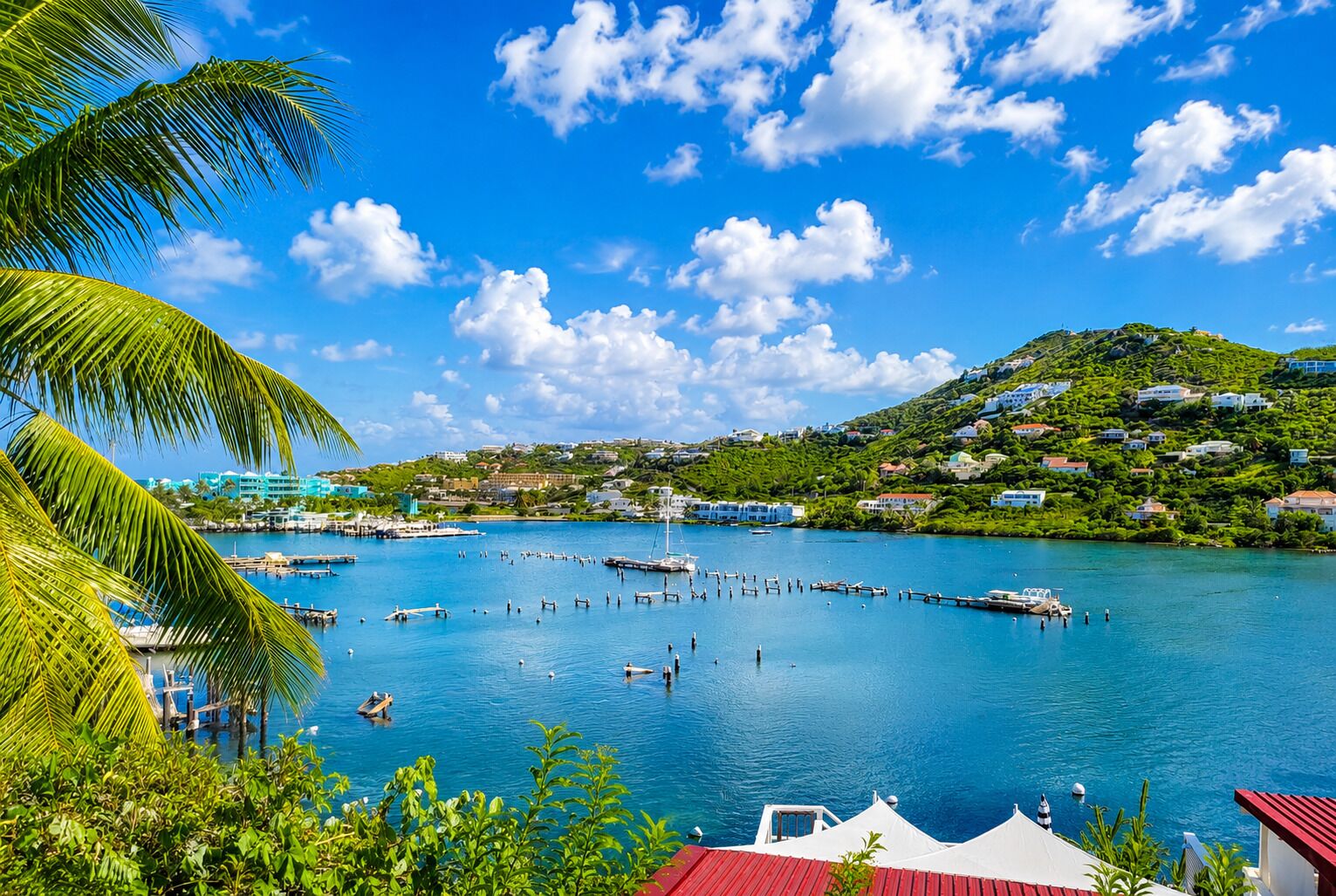 Un puerto marítimo costero con barcos, cielo azul despejado y exuberante vegetación.