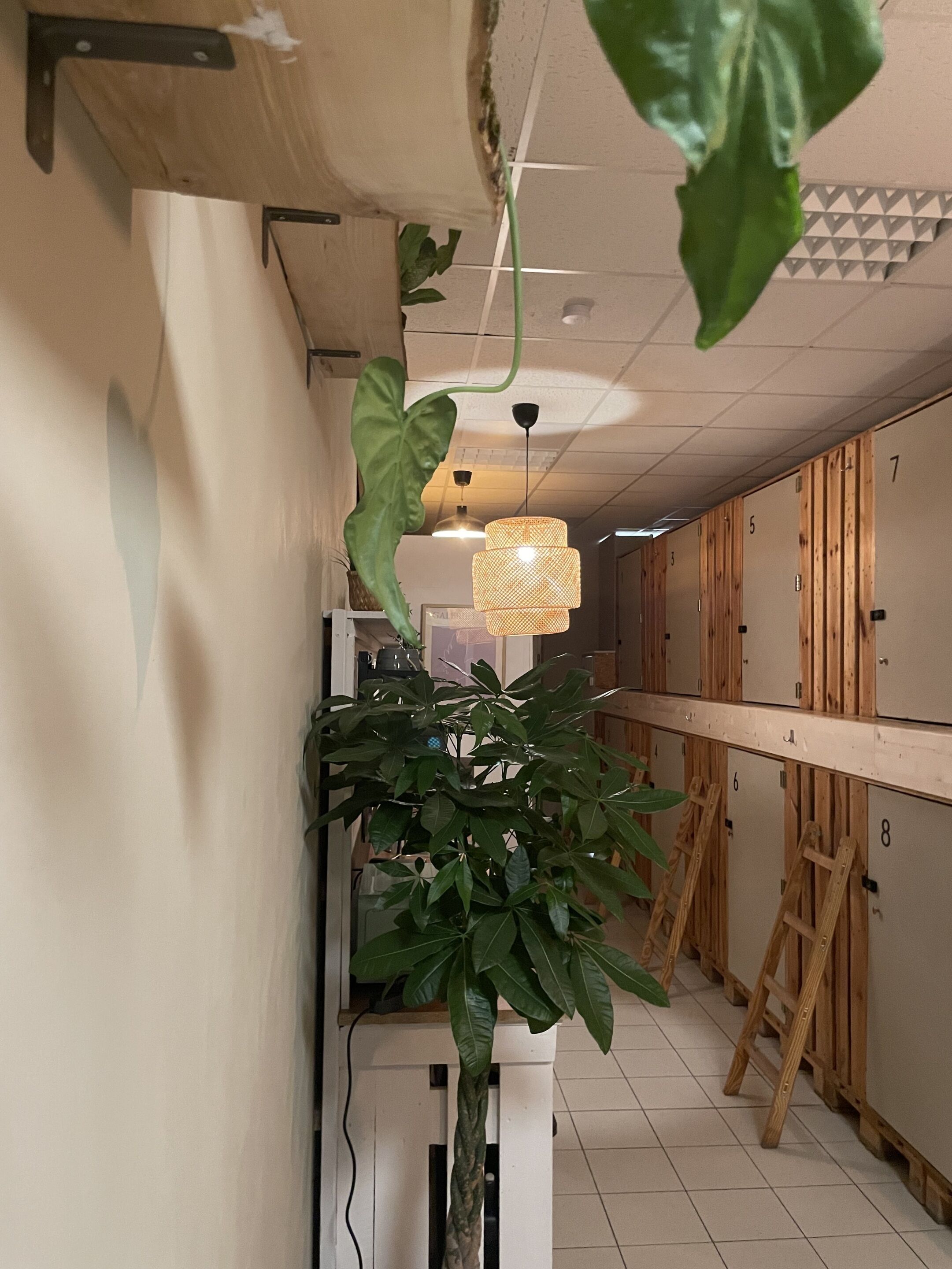 Foto - Urban Capsule