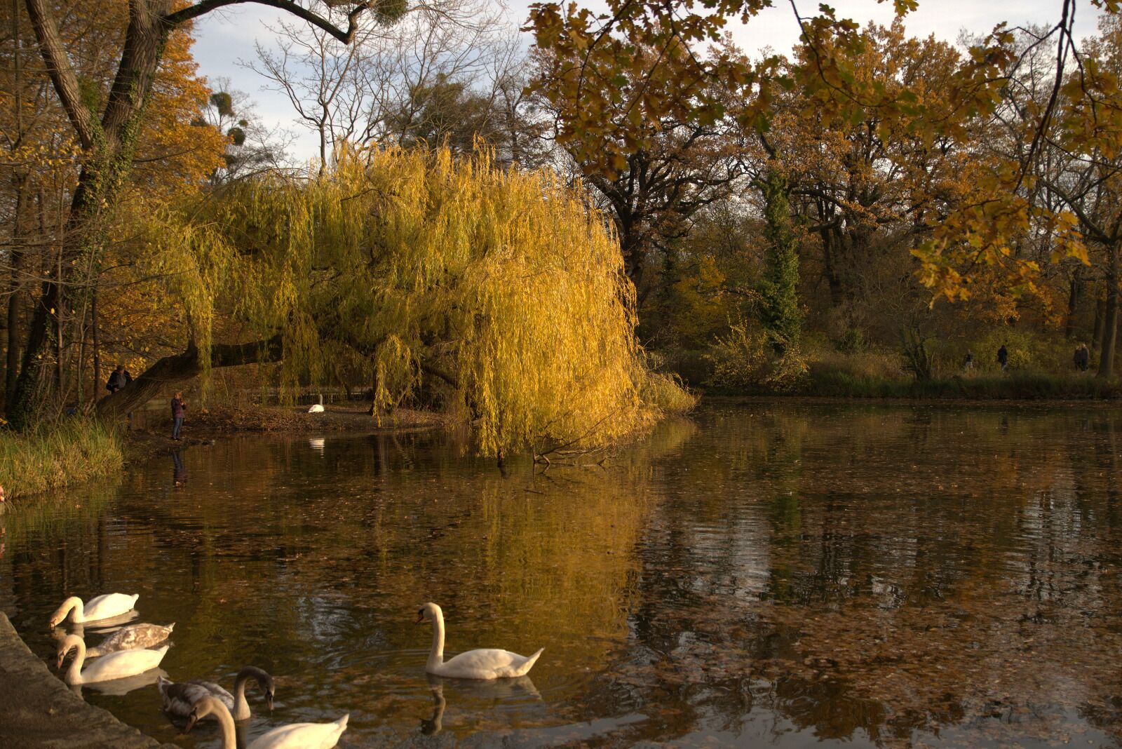 Foto - Urban Capsule