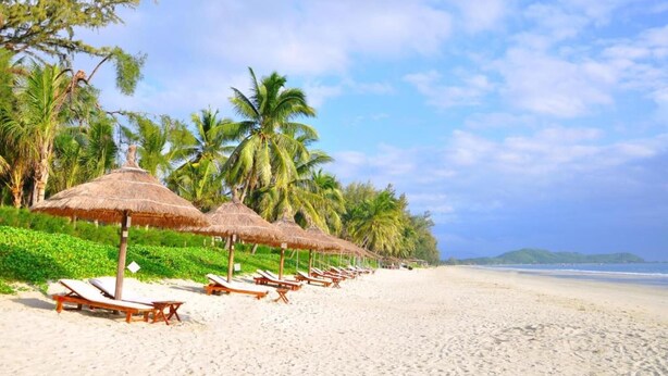 A beach with rows of sun loungers and thatched umbrellas, palm trees, and a clear sky. - TTC Resort - Doc Let (Ninh Hoa)
