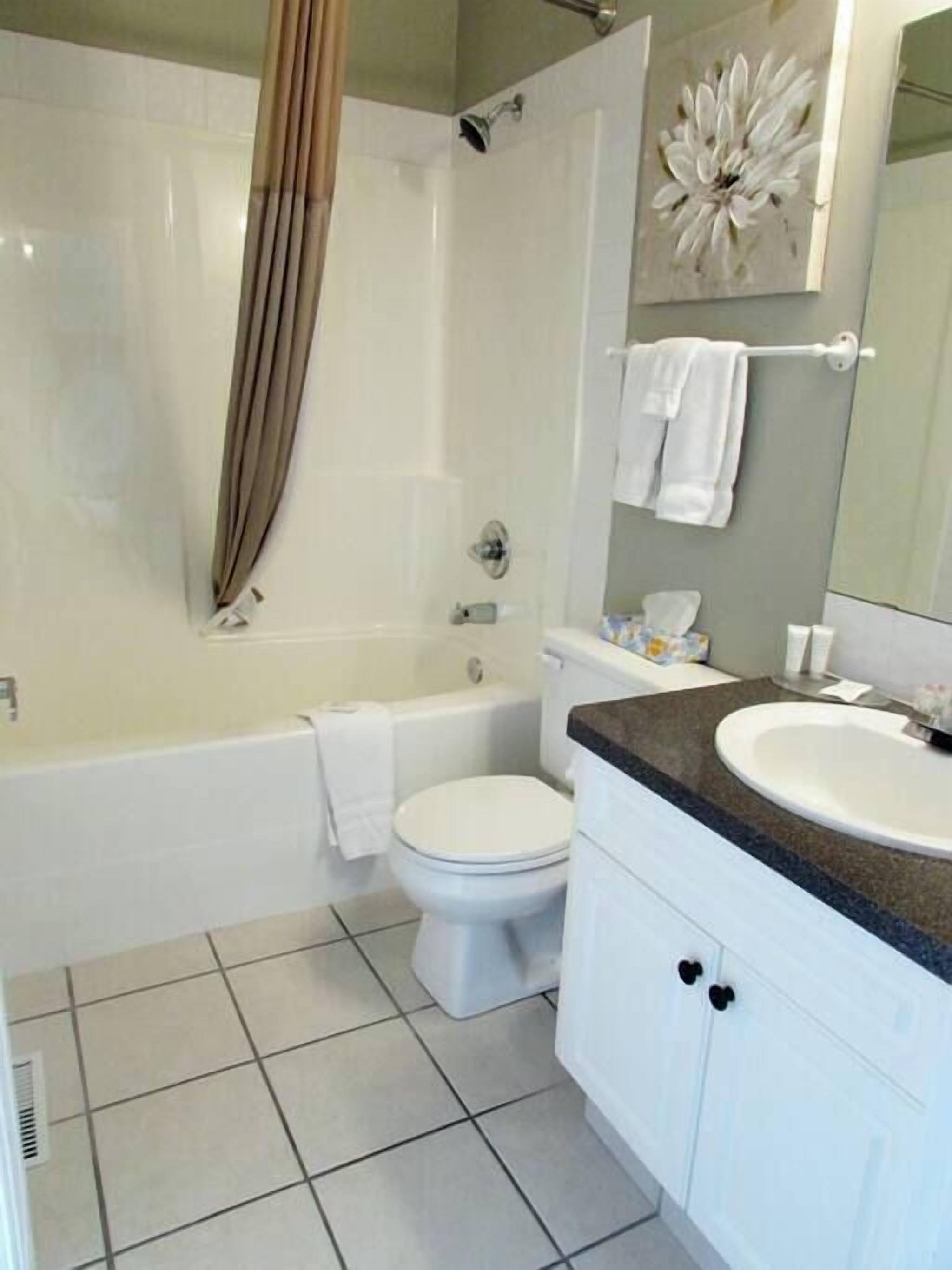 외관