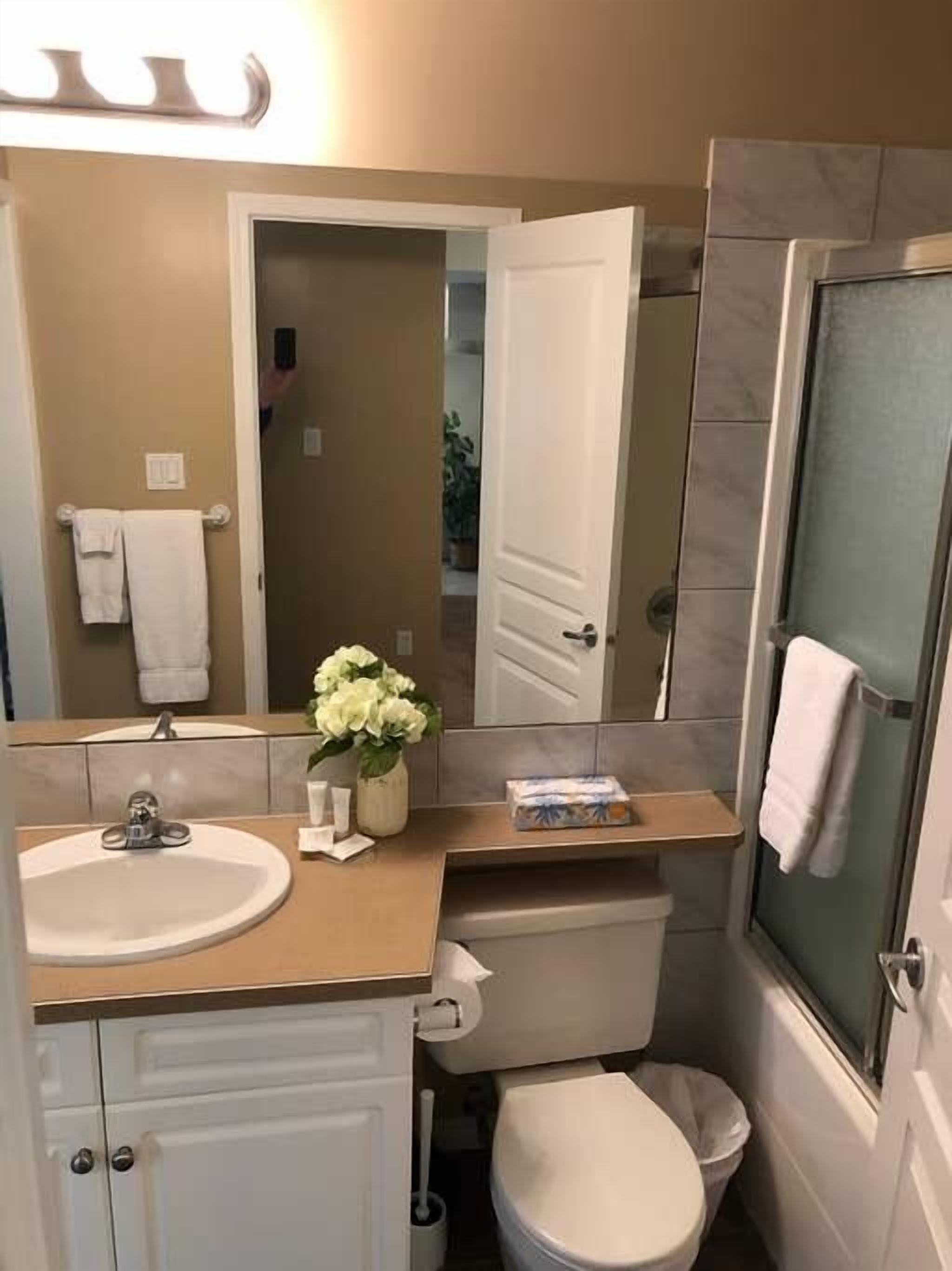 Une petite salle de bain comprenant un lavabo, des toilettes et un espace douche.