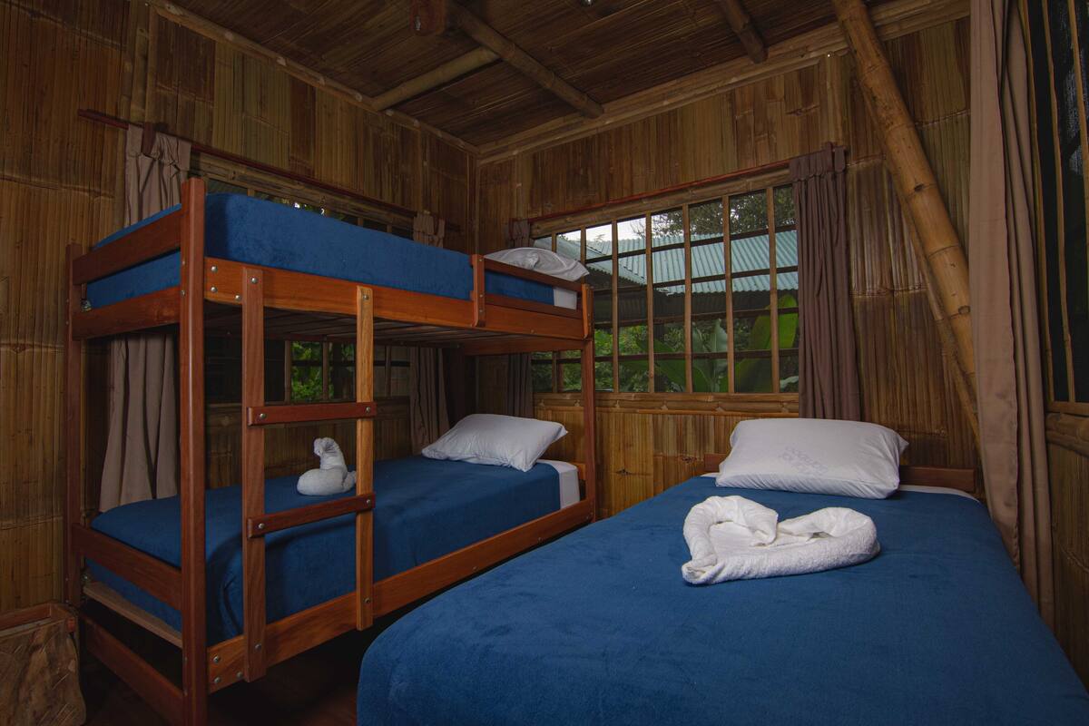 A rustic wooden cabin with bunk beds, a large window with curtains, and a view of greenery outside.