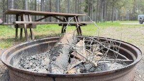 A campfire in a metal fire pit with a picnic table in the background.