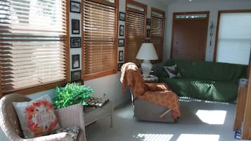 TV, DVD player, books, music library