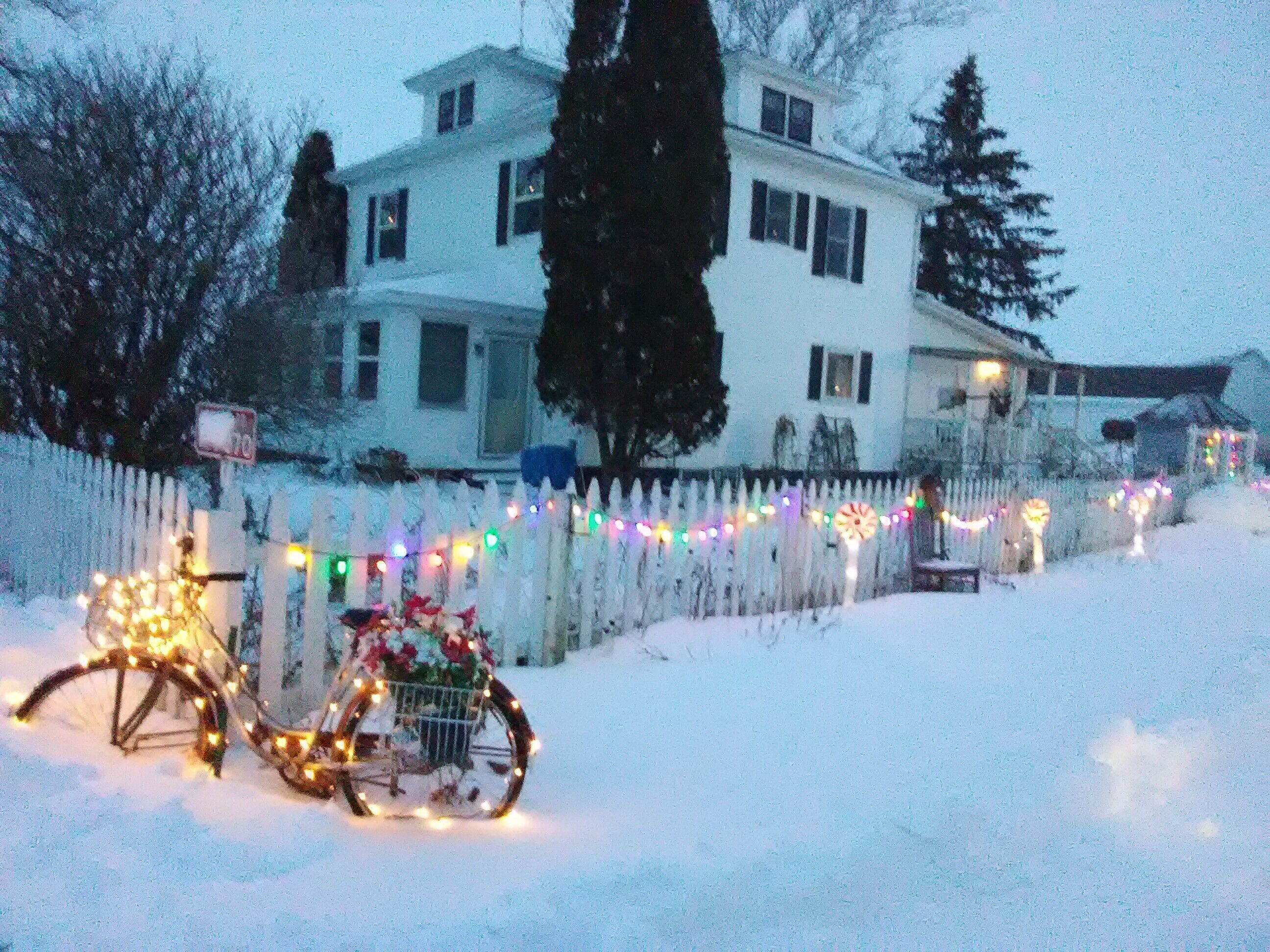 Come celebrate a Farm Christmas!  