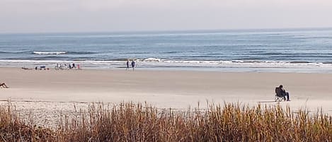 Plage à proximité