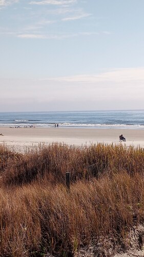 Pet Friendly.  Newly Remodeled, Free parking and Steps to the beach!