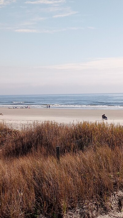 Pet Friendly. Newly Remodeled, Free parking and Steps to the beach!