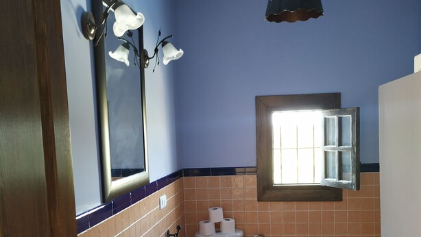 A bathroom with a sink, toilet, and a mirror. - RURAL HOUSE IN CASILLAS GUERRERO (Ventorros de la Laguna)