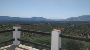 Property grounds - RURAL HOUSE IN CASILLAS GUERRERO (Ventorros de la Laguna)