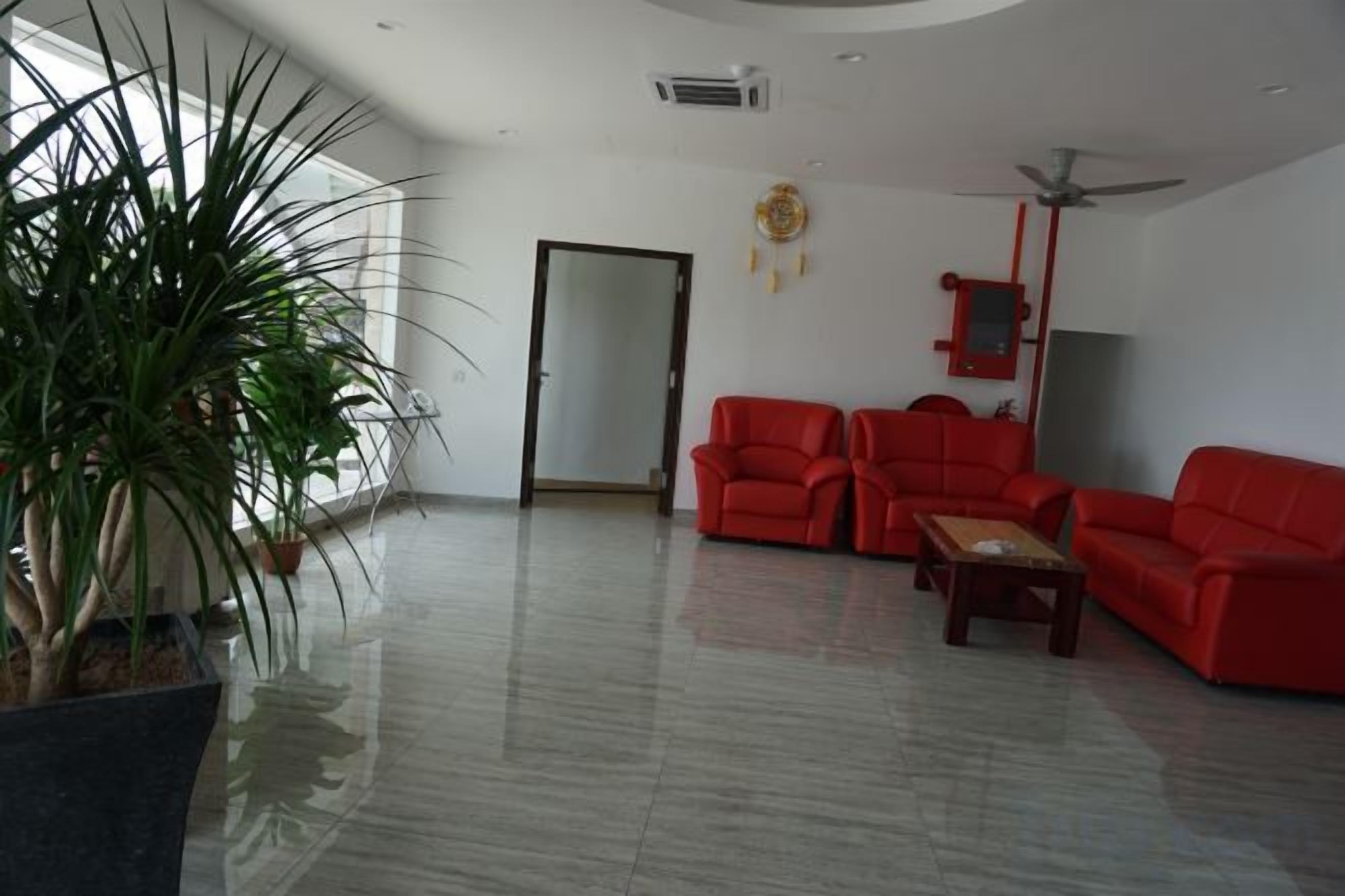 Une pièce spacieuse avec une grande plante en pot, deux canapés rouges, une table basse en bois et un ventilateur de plafond.